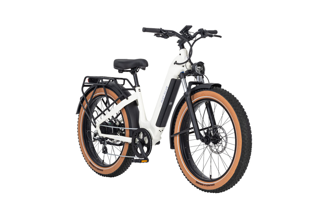 AIMA BIG SUR 26'' EBIKE