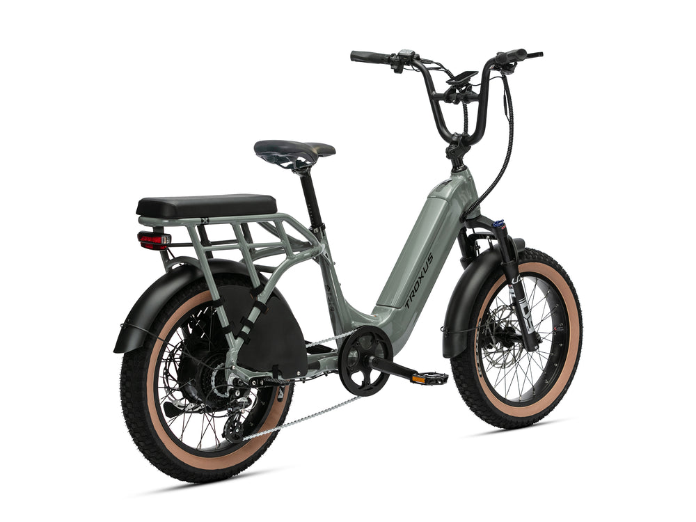 TROXUS LYNX 2-UP EBIKE