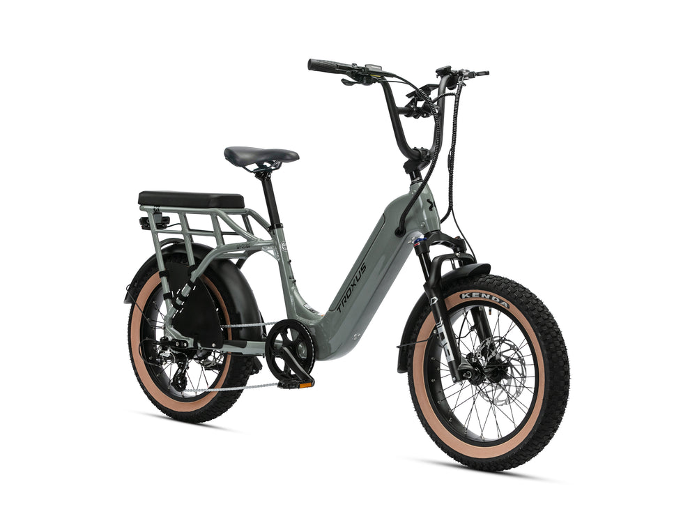 TROXUS LYNX 2-UP EBIKE