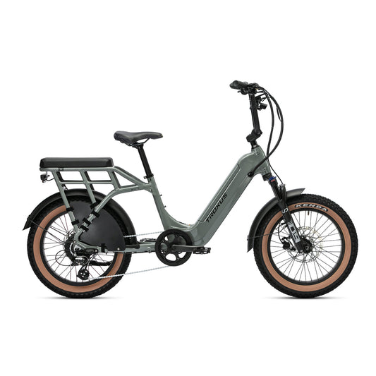 TROXUS LYNX 2-UP EBIKE