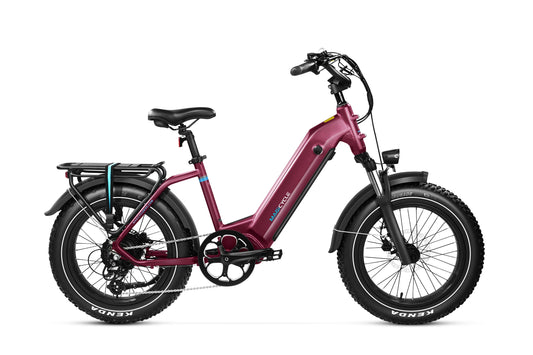 MAGICYCLE OCELOT PRO 2.0