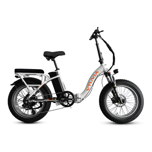 VTUVIA SF20H UTILITY EBIKE